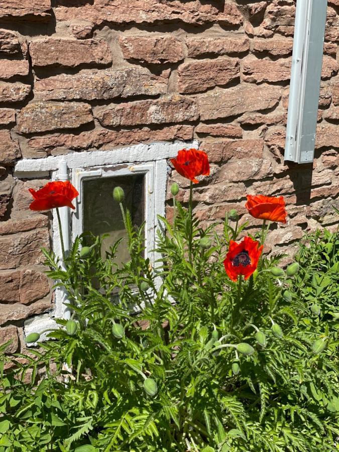 Rosenfors Herrgard B&B Borgholm Buitenkant foto